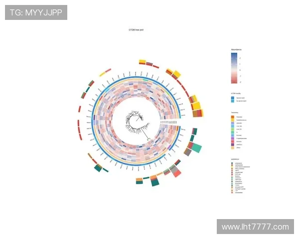 如何判断老虎机平台规模大小，优质大型平台的核心特征全面分析